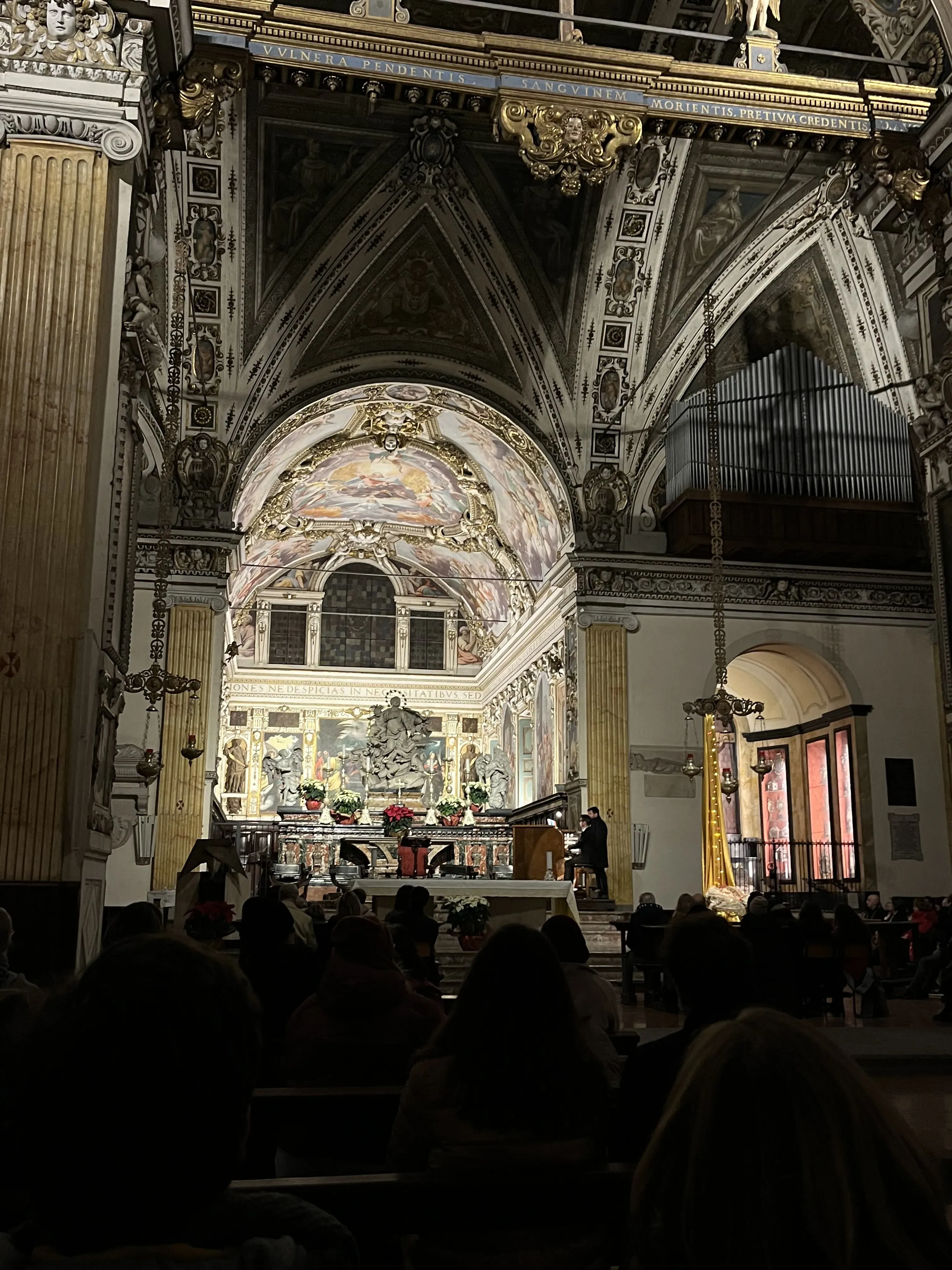 Audience perspective